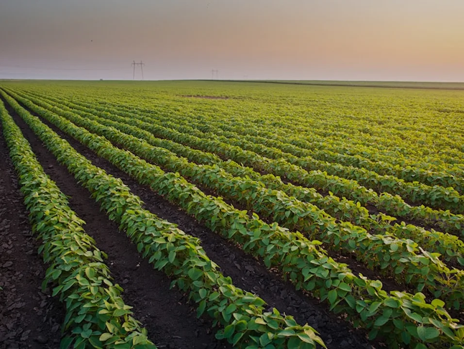 AGRO Energy Hub